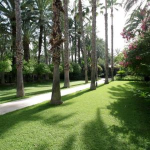 Hotel Huerto del Cura