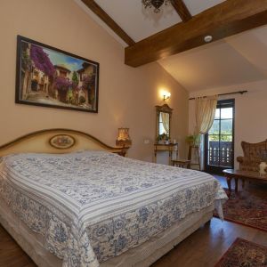Hotel Conacul Ambient