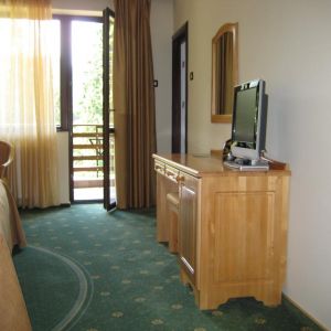 Hotel Casa Viorel