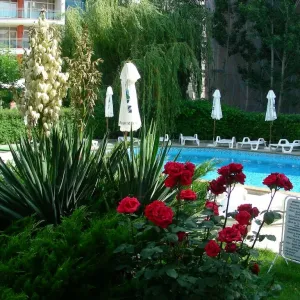 Hotel Deva