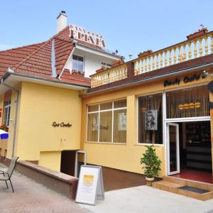 Pensiunea Casa Elixia