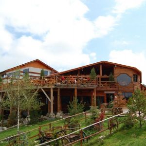 Pensiunea Club Bran