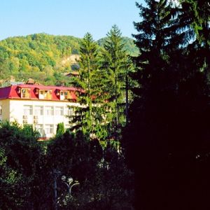 Hotel Premier Olanesti