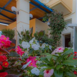 Oasis Apartmets