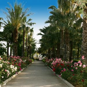 Hotel Adora Golf Resort