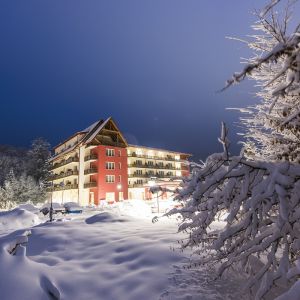 Sarbatori de iarna la Hotel TTS Covasna