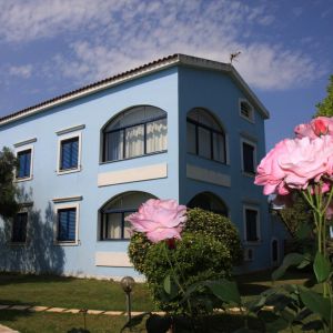 Hotel Govino Bay