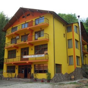 Pensiunea trei Brazi