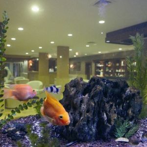 Hotel Meryan