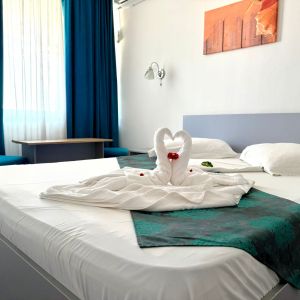 Hotel Minerva