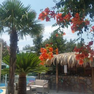 Hotel Potos