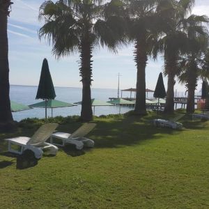 Seagull Hotel