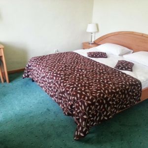 Hotel Belvedere Predeal