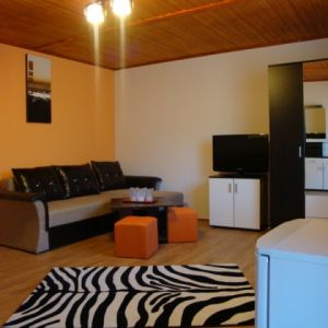 Pensiunea Casa Ecologica