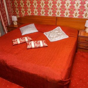 Hotel Breza