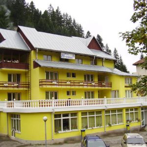 Hotel Bradul
