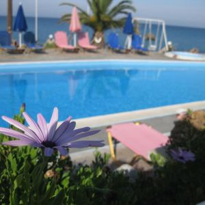 Villa Violetta