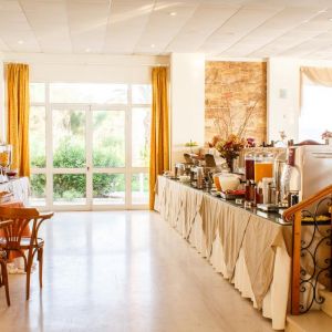 Hotel Chryssi Akti