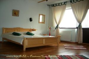 Hotel Casa Boiereasca