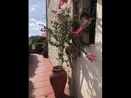 Hotel Vila Nemesis Afitos