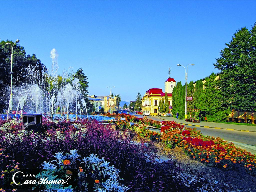 Pensiunea Casa Humor