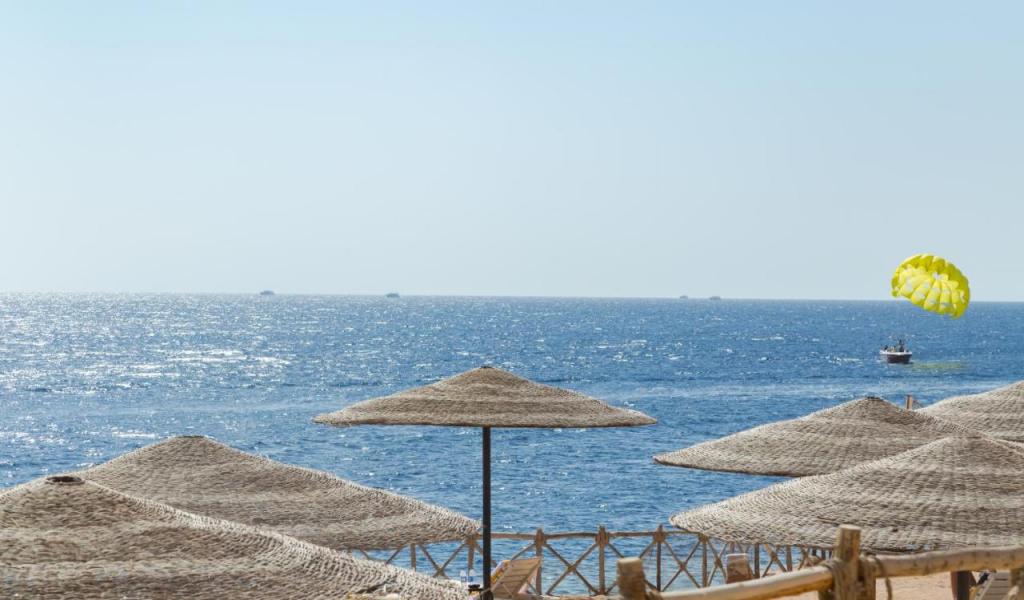 Coral Beach Resort Tiran (Ex. Rotana)