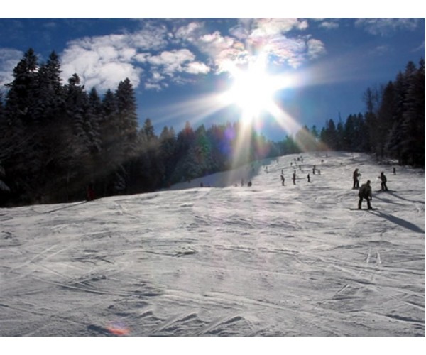 Pensiunea Popasul Clabucetului