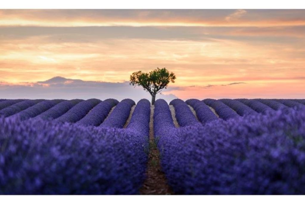 Circuit Franta - Provence