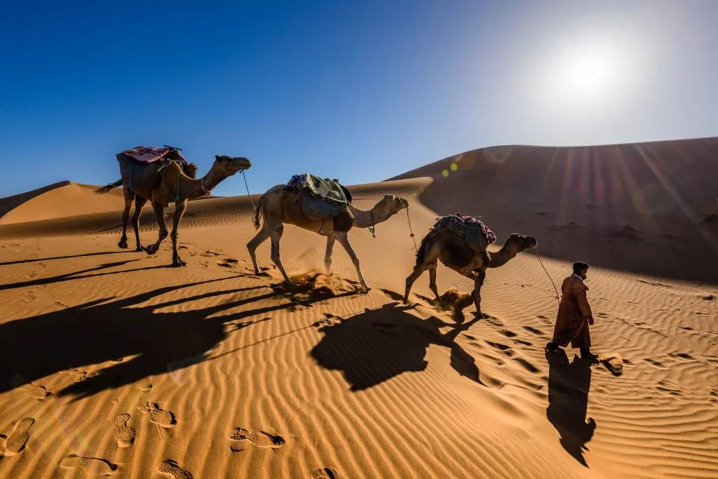 Circuit Maroc – Marrakech si Magia Desertului Sahara