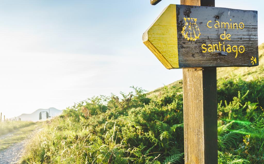 El Camino - O data in viata