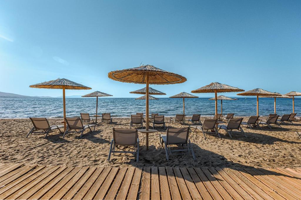 Hotel Blue Lagoon Queen