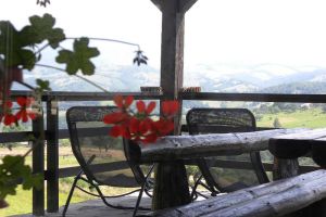 Hotel Casa Boiereasca