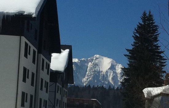 Hotel Phoenicia Aura