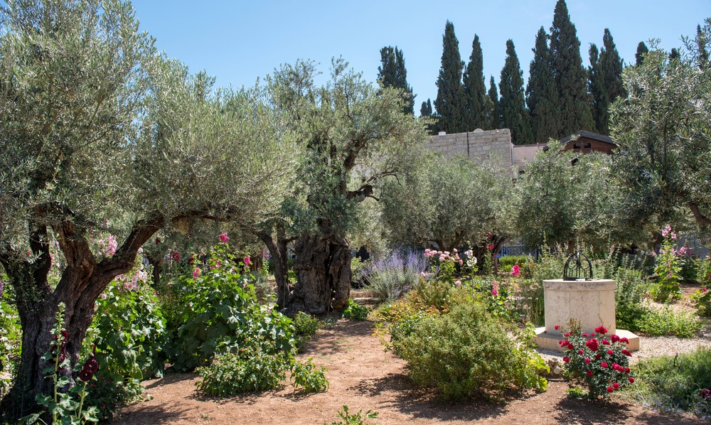 Israel - Pelerinaj in tara Bibliei loading=