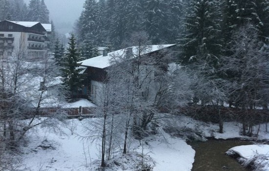 Hotel Phoenicia Aura