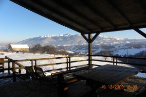 Hotel Casa Boiereasca