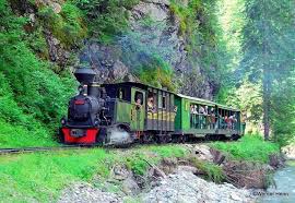 Maramures Bucovina Iasi 6 zile transport Autocar