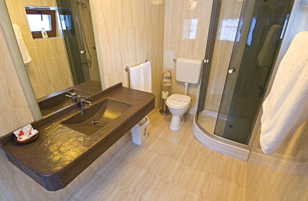 Cabana Schiorilor Sinaia