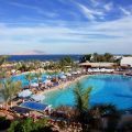 Hotel Sultan Gardens Resort Sharks Bay