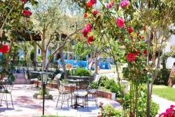 Hotel Chrousso Village - Paliouri Kassandra