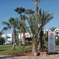 Hotel Riu Tikida Dunas - Agadir